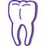 How your teeth shape relates to what you eat