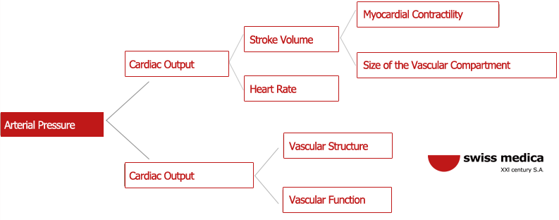 arterial hypertension causes